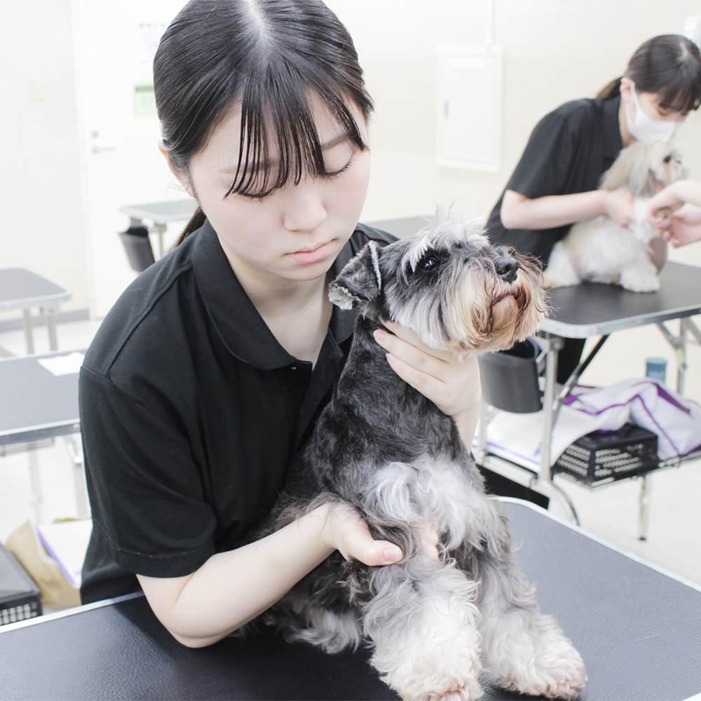 ２年生の動物看護実習